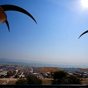 https://hotel-palm-beach.riccione-hotels.org